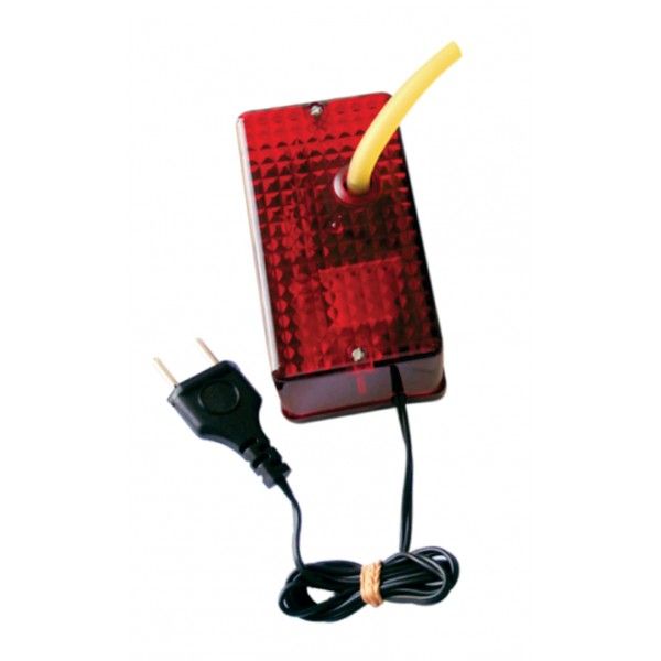 Motor da Bomba Avulsa 220V